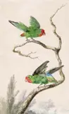 Parrots on a branch Signed, inscribed and dated 1789 verso Watercolour 35.8 x 22.1cm by Willem van Leen, 1789, Watercolour, offered Dec 2015