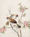Birds on a blossom Signed indistinctly Watercolour with bodycolour 20.25 x 22.75cm by S. Bright, Watercolour with bodycolour, offered Dec 2015
