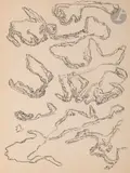 Dessin mescalinien by Henri Michaux, 1957, Encre de Chine et crayon, sold Sep 2023