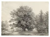 Partie im Großen Garten in Dresden by Christian Gottlob Hammer, Bleistift auf Papier, sold May 2014