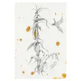 My Corn Study by Bob Timberlake, Graphite and watercolor on paper, sold Oct 2023