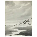 Divers in Flight by Joseph Knapp, Watercolor on paper, sold Oct 2023