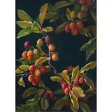 Berries by Lodewijk Bruckman, 1953, oil on canvas, sold Mar 2024