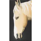 Pale Horse by Beth Van Hoesen, 1991, etching with aquatint, sold Mar 2024