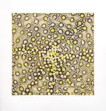 Insertion Sequence by Ross Bleckner, 2002, Etching and Aquatint in Colors on Paper, sold Jul 2025