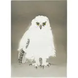 Owlet by Beth Van Hoesen, 1982, etching, sold Apr 2024