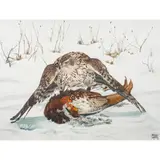 Bird of Prey by Bruce Lattig, watercolor, sold Apr 2024