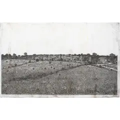 Field by Jacques Hnizdovsky, 1962, woodcut, sold Apr 2024