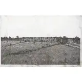 Field by Jacques Hnizdovsky, 1962, woodcut, sold Apr 2024