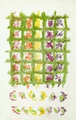 Untitled by Glen Alps, Lithograph 11.5"x17" Sheet. Loose, sold Sep 2025