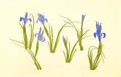 Untitled by Henry Evans, Woodcut 12.5"x20" Sheet. Loose, sold Sep 2025