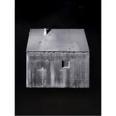 Unabomber's Cabin by Richard Barnes, gelatin silver print, sold May 2024