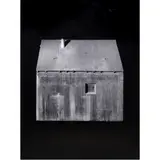 Unabomber's Cabin by Richard Barnes, gelatin silver print, sold May 2024