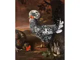 Zwei Hennen mit Hase by David de Coninck, oil on canvas, offered Mar 2025