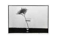 Untitled by Lilo Raymond, Silver gelatin print, image size, offered May 2022