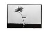 Untitled by Lilo Raymond, Silver gelatin print, image size, offered May 2022