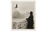 Untitled by Wolfgang Suschitsky, Silver gelatin print, image size, offered May 2022