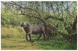 Untitled by Edmund Barker, oil on canvas, offered May 2022