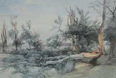 The Blown Wood by John Middleton, Wood Watercolour, sold May 2019