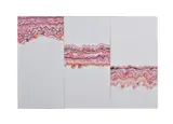 1969 Oil by Margaret Priest, Marble graining, sold Apr 2019