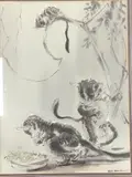 Bush Babies by Ralph Thompson, ink and wash, sold Jun 2021