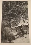 Wolf and dead cavalryman, 32 x 20cm, unframed by Max Klinger, etching, offered Jun 2021