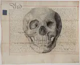 School of the Said William, 2008 pen and ink on conserved antique vellum document 59 x 73 cm by Steven Gregory, Stone Bronze at the Nicholas Robinson Gallery in New York, sold Jun 2021