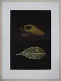 Before and After History, 2019 ink-jet print on Hahnemuhle paper from an edition of 6 by Kjell Torriset, ink, offered Jun 2021