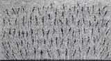 Tidal Wave Signed, titled, dated 1995 and numbered 12/25 Woodcut 78 x 125cm sheet size ++Good condition by Xu Zhongmin, 1995, Woodcut, sold Dec 2015