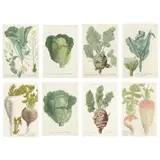 Eight Antique Vegetable Prints from Phytanthoza Iconographia by Johann Wilhelm Weinmann, Engravings with mezzotint in colors, sold Oct 2023