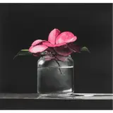 Camellia and Jar by Guy Diehl, 1990, etching with watercolor, sold Jun 2024