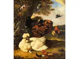 Landschaft mit Federvieh und Vögeln by Melchior de Hondecoeter, oil on canvas, offered Dec 2024