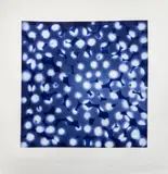 Chaperone by Ross Bleckner, 2002, Etching and Aquatint in Colors on Paper, sold Oct 2025