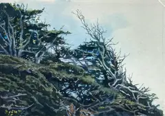 Untitled by Douglas Kyes, Watercolor on Paper 11"x15" Sheet. Loose, sold Jan 2026