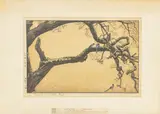 Plum Tree and Blue Magpie by Tōshi Yoshida, 1951, Woodcut in Colors, sold Oct 2025