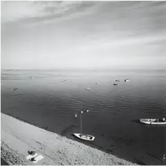 Cape Cod by Harry Callahan, 1972, gelatin silver print, sold Jul 2024