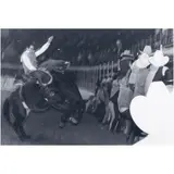 Untitled from Stock Photographs: The Fort Worth Stock Show and Rodeo," circa by Garry Winogrand, gelatin silver print, sold Jul 2024