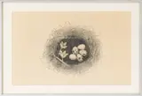 The Spring by Nobou Sato, 1968, Etching, sold Oct 2025