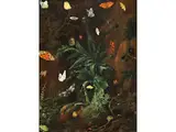 Waldbodenstillleben mit Distel, Insekten, Einer Schnecke und Einem Frosch by Franz Michael von Purgau, oil on canvas, sold Apr 2020