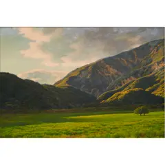Serene Valley by John Grossman, oil on board, sold Aug 2024