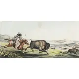 Hunting the Buffaloe," (circa 1840) by Peter Rindisbacher, lithograph in colors with hand coloring, sold Aug 2024