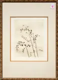 Untitled by Colette Meltzer, etching, sold Aug 2024