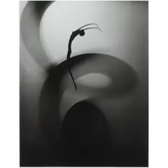 Untitled by František Drtikol, Photograph #2," gelatin silver print (new print from original negative), sold Aug 2024