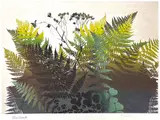 Untitled by Elton Bennett, Serigraph 19"x25" Sheet. Loose, sold May 2026