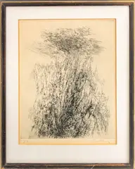 Yosemite by Gabor Peterdi, 1972, Etching, sold Nov 2025