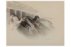 Untitled by John Skeaping, pencil, offered Apr 2022