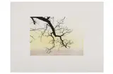 Untitled by Cameron Martin, etching, offered Feb 2022