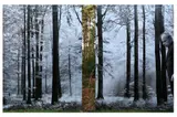 Untitled by Jonny Briggs, print, offered Feb 2022