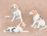 A study of three dogs Oil on board Signed lower right 31 x 41cm (12 x 16 in.) λ Indicates that this lot may be subject to Droit de Suite royalty charges by Neil Cawthorne, Oil on board, sold Apr 2019