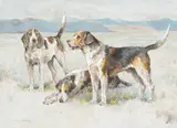Welsh Hounds, from the packs of Lieutenant Buckley and The Hon by Arthur Wardle, Watercolour, sold Apr 2019